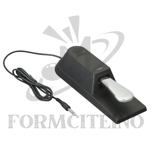 Music Accessories